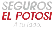 seguros el potosi